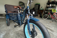 electric-rickshaw
