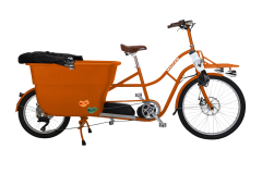 Copy of Untitled (1200 x 1200 px) - 1