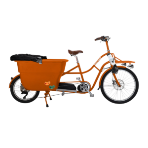 Non Standard / Cargo eBike Assembly