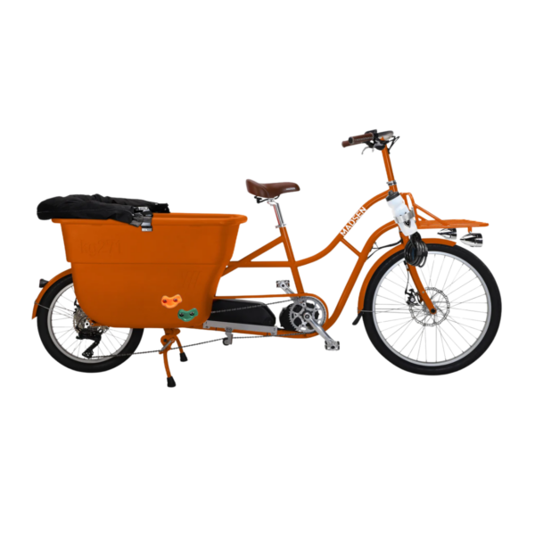 Non Standard / Cargo eBike Assembly